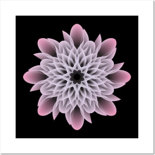 Beautiful White and Yellow Purple Flower Posters and Art